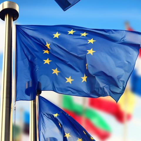 Lille Metropole celebrates the european month of May !