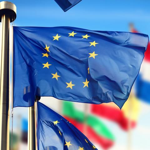 Lille Metropole celebrates the european month of May !