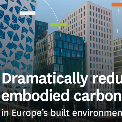 Dramatically Reducing Embodied Carbon (DREC): bringing metropoles together to develop solutions to common problems