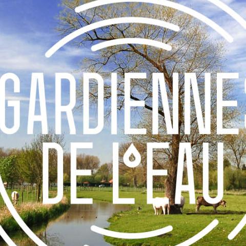 “Guardians of Water”: Lille Metropole’s commitment to long-term water protection