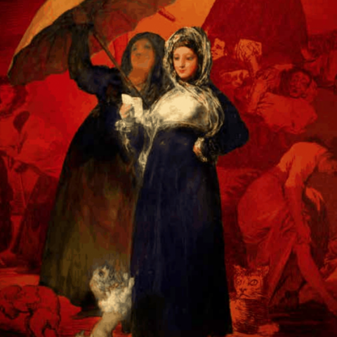 The Goya Experience at the Museum of Fine Arts of Lille