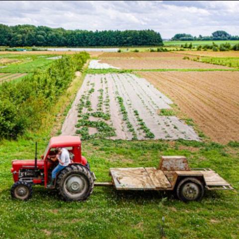 Low carbon experimentation: Lille Metropole encourages its farmers to sequester carbon 