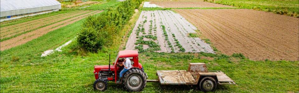 Low carbon experimentation: Lille Metropole encourages its farmers to sequester carbon