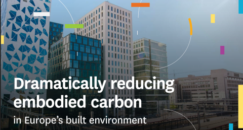 Dramatically Reducing Embodied Carbon (DREC): bringing metropoles together to develop solutions to common problems