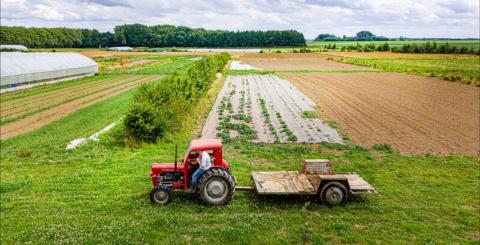 Low carbon experimentation: Lille Metropole encourages its farmers to sequester carbon 